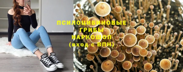 каннабис Алексеевка